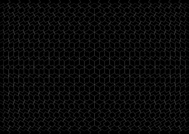 two dimensional exercise